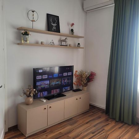 B8 - Spacious, Charming Apartment In Central 시비우 외부 사진