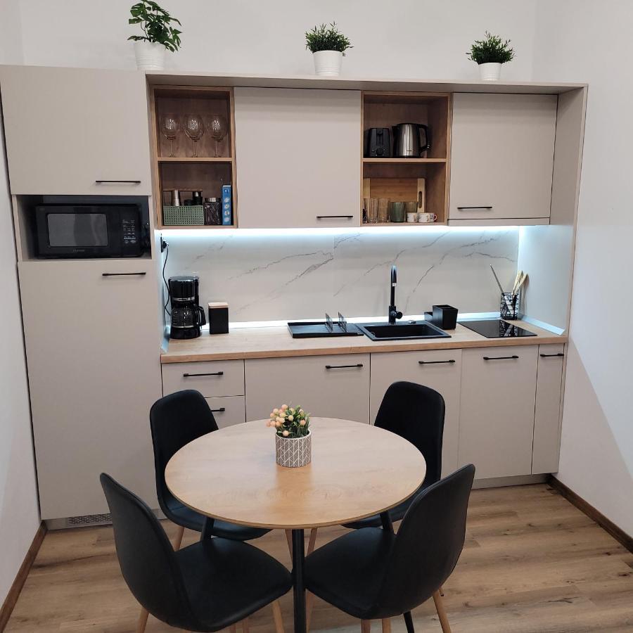 B8 - Spacious, Charming Apartment In Central 시비우 외부 사진