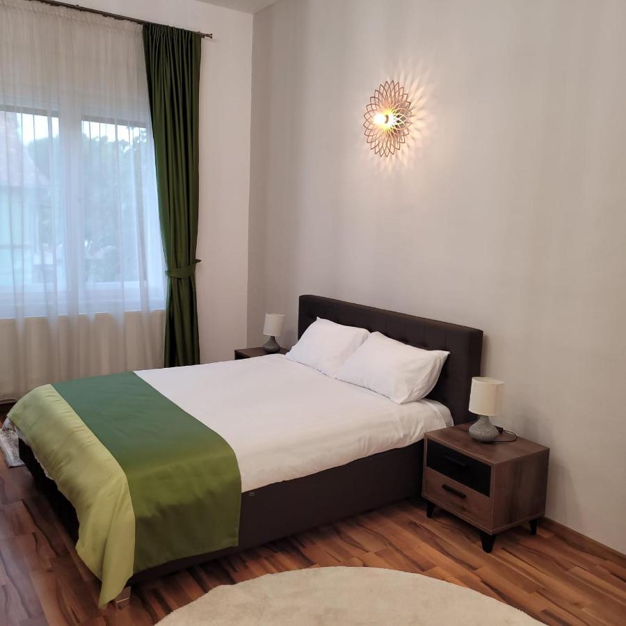 B8 - Spacious, Charming Apartment In Central 시비우 외부 사진